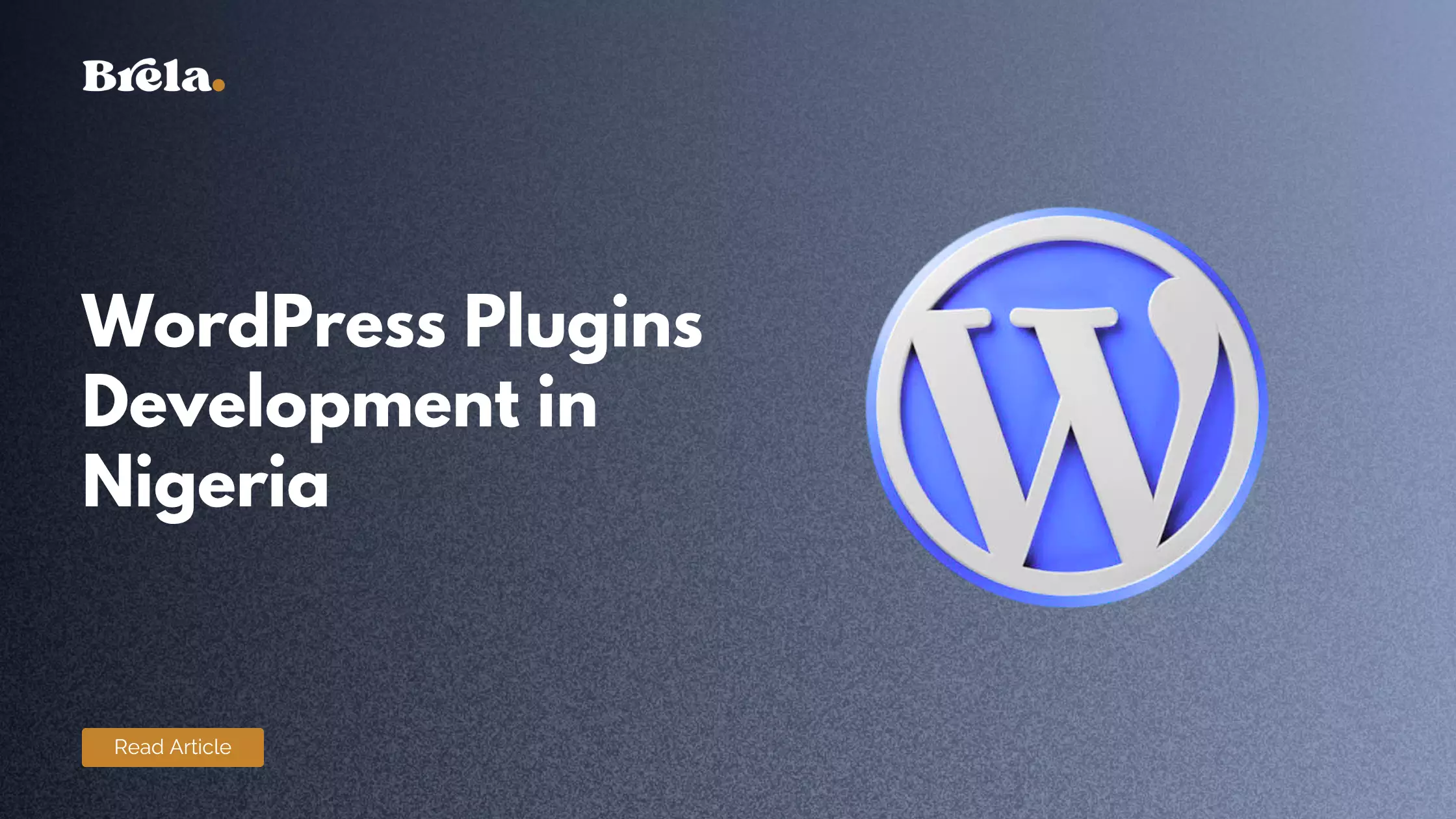 What Is a WordPress Plugin and Do Nigerian Businesses Need Custom Ones?